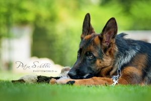 Arrex With Daughter Eska