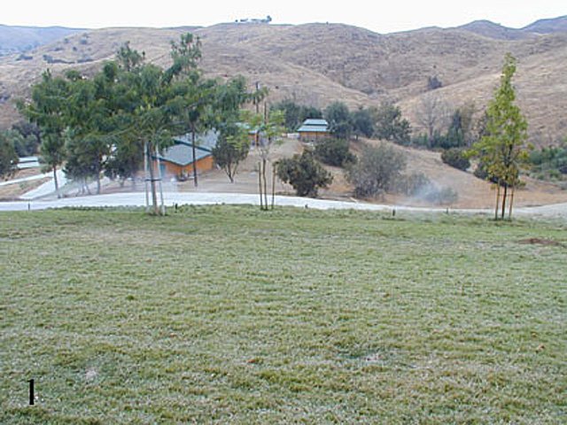 Front Yard View of the Kennels