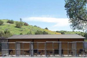 Lundborg-Land Kennels