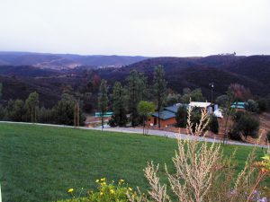 Nightime at the Kennels