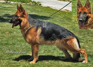 Pia v. Hauswalder Bach