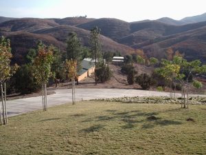 Lundborg-Land Kennels