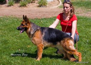 Wendrina vom Lundborg-Land