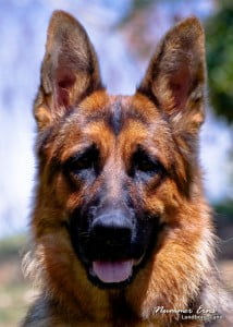 Wendrina vom Lundborg-Land