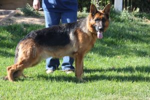 Gabe vom Lundborg-Land