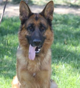 Gabe vom Lundborg-Land