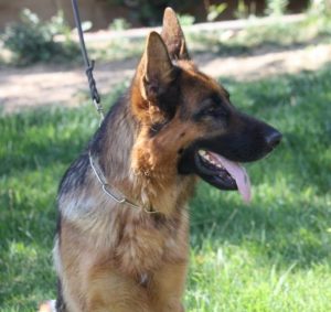 Gabe vom Lundborg-Land