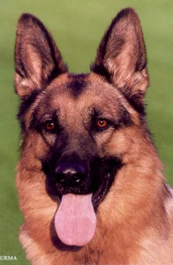 Lord vom Georg Vicktor Turm