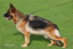 Fenja vom Team Baierblick