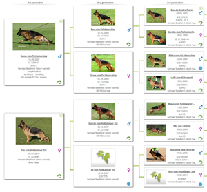 Atze vom Amun, IPO 1, 