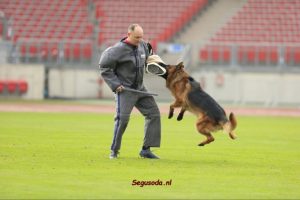 Veneze Raul protection service