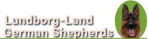 Lundborg-Land German Shepherd Dogs