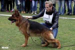 V Veneze Raul Lundborg Land