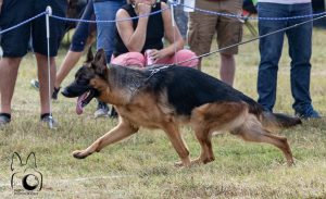 Akron von der Kreigerstadt