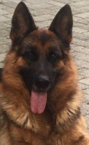 Nana vom Hauswalder Bach