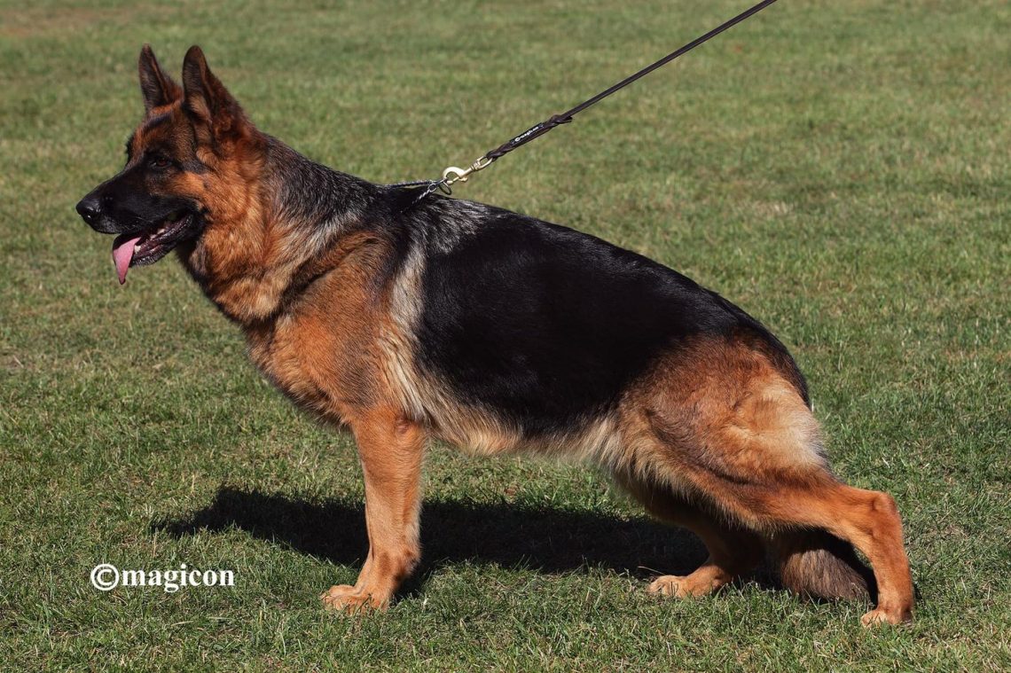 Nana vom Hauswalder Bach