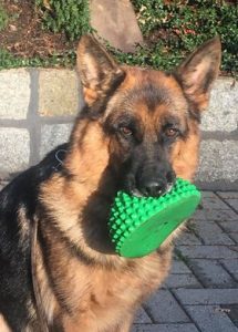 Nana vom Hauswalder Bach