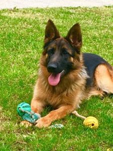 Nana vom Hauswalder Bach