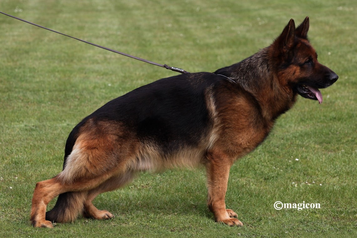 Akron von der Kreigerstadt