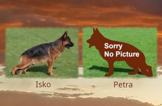 Isko x Petra LItter