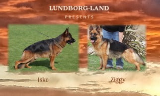 Isko x Ziggy Litter