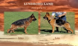 Isko X Lea Litter