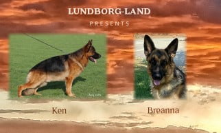 Ken x Breanna Litter