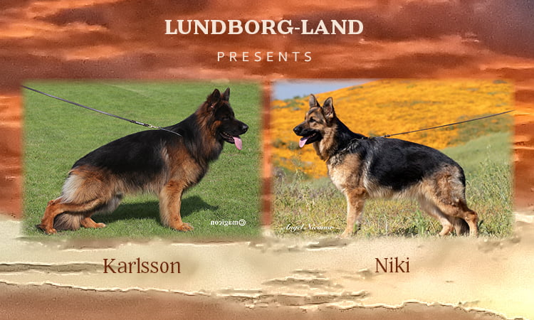 Karlsson x Niki Litter