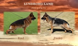 Raul x Pauley Litter