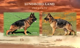 Efo x Odie Litter