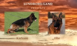 Karlsson x Ollie Litter