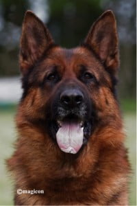 Akron von der Kreigerstadt