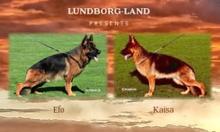 Efo x Kaisa Litter