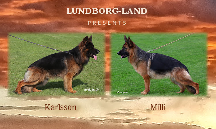 Karlsson x Milli Litter