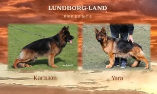 Karlsson x Yara Litter
