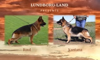 Raul x Xantana Litter