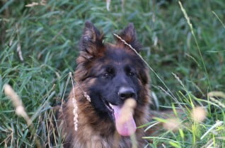 Wanika vom Rumbachtal