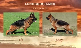 Efo x Addy Litter