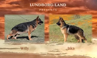 Willy x Iska