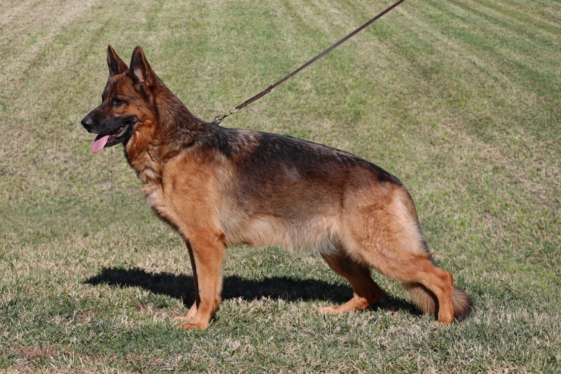 Janet vom Lundborg-Land