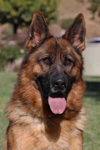 Janet vom Lundborg-Land