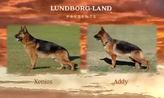 Xenios (Lutz) x Addy Litter