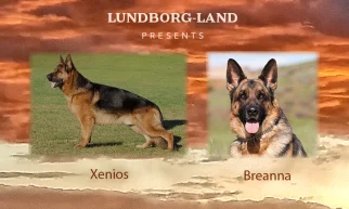 Xenios x Breanna Litter