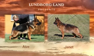 Atze x Janet Litter