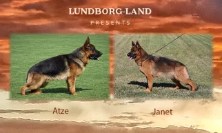 Atze x Janet Litter