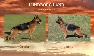 Xenios x Josie Litter