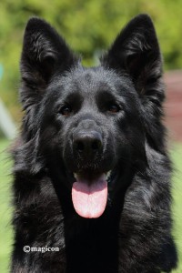 Glitch vom Bergerhaus