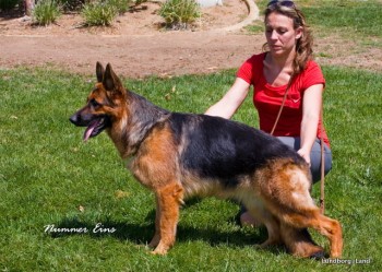 Wendrina vom Lundborg-Land