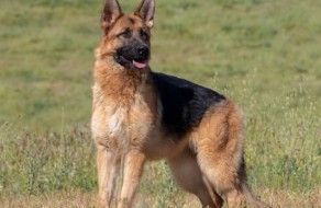 Pia vom Lundborg-Land