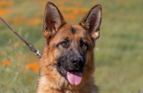 Pia vom Lundborg-Land